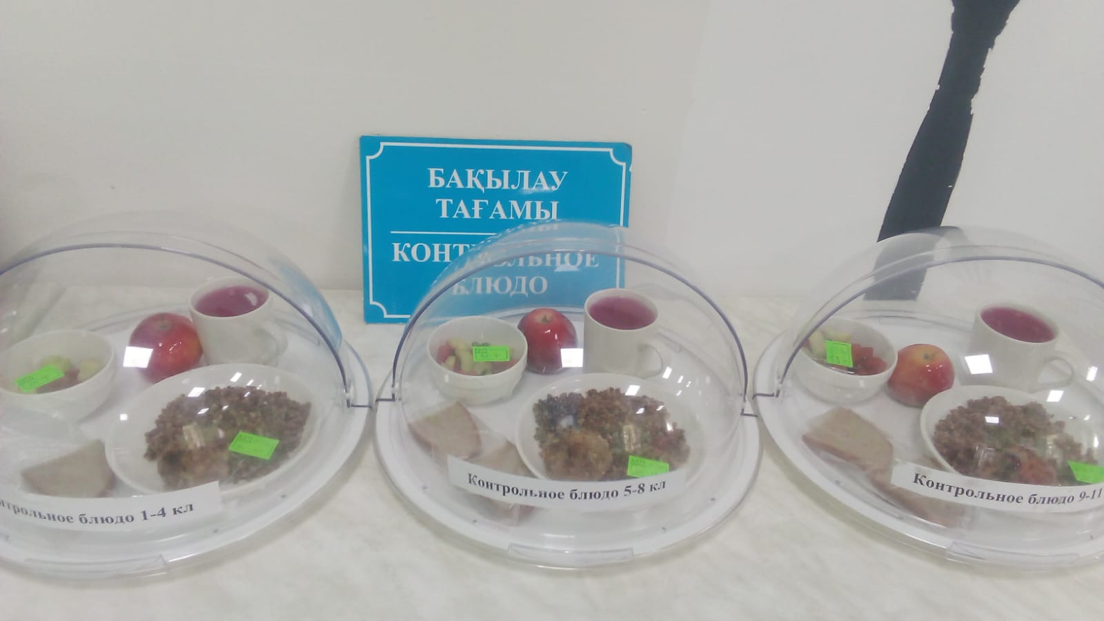 Бақылау тамағы