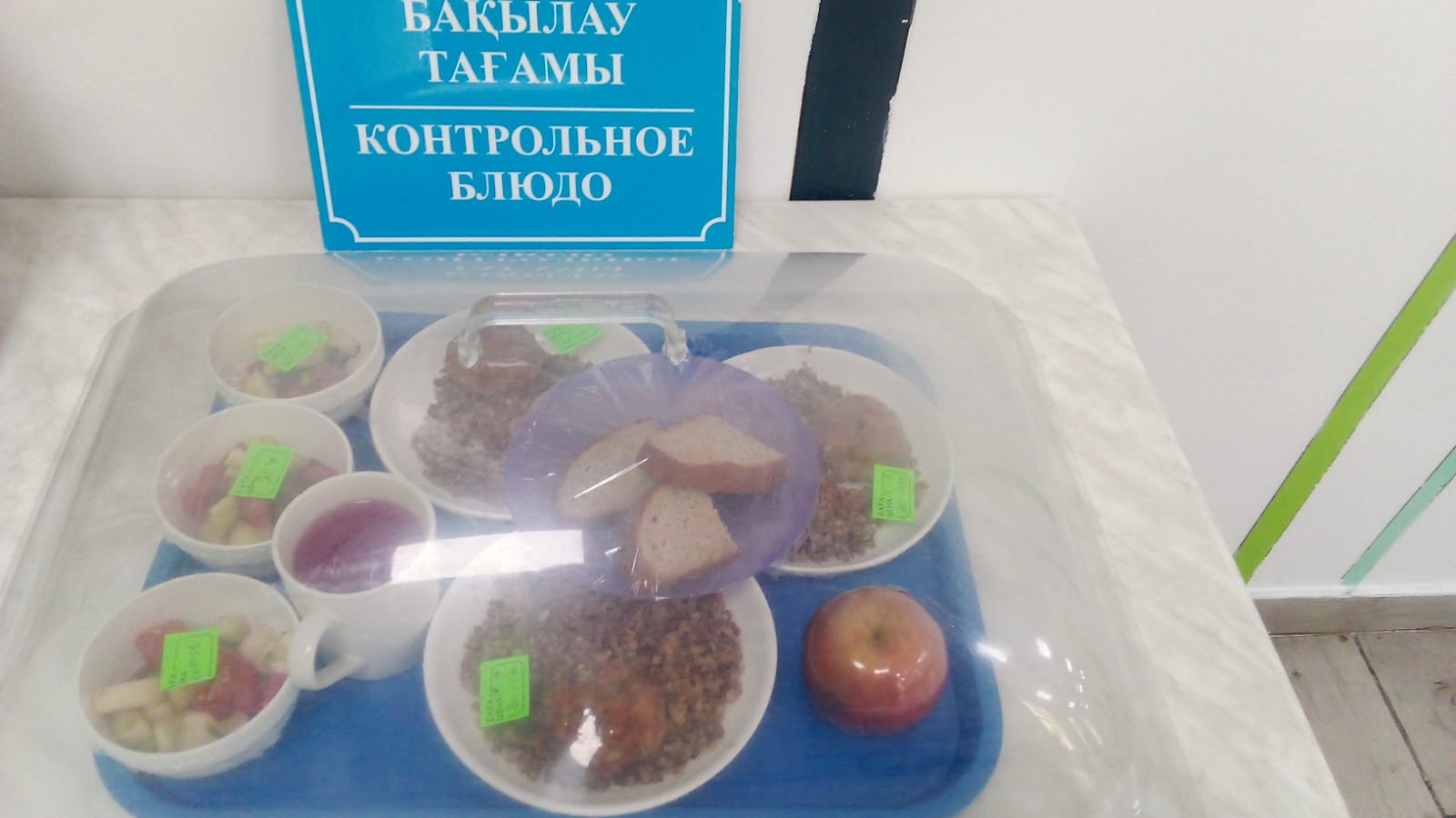 Бақылау тамағы